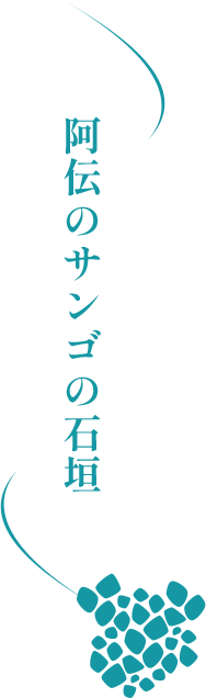 阿伝のサンゴの石垣