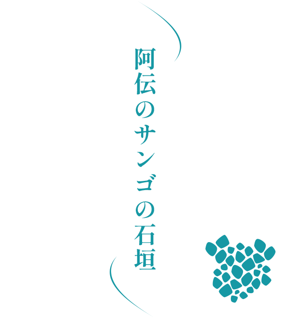阿伝のサンゴの石垣